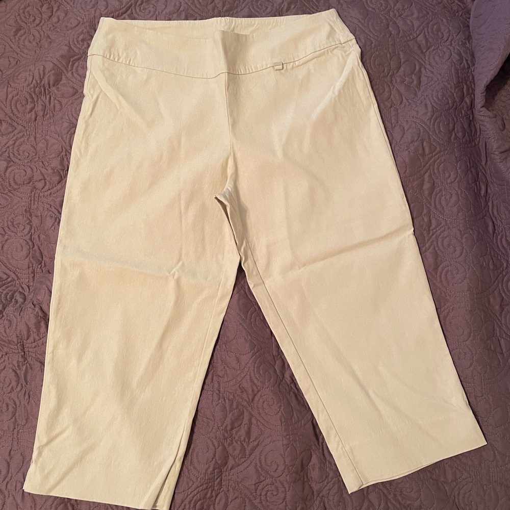 Cleo Capris size 14 petite
